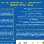 Testing Approaches to Strengthen Gender within NRLM