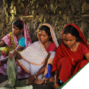Strengthening Socio-Economic Rights of Women in the Informal Economy: The SEWA Approach in West Bengal and Jharkhand