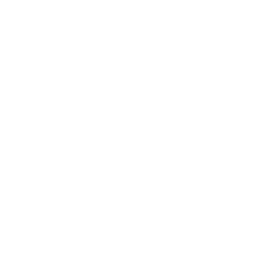 SDG 2
